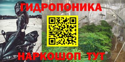 ГАЛЛЮЦИНОГЕННЫЕ ГРИБЫ Нальчик