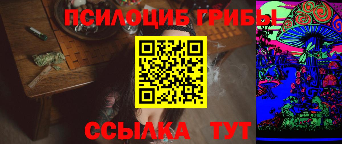 Трёхгорный  хочу   Вход с VPN  Псилоцибиновые грибы GOLDEN TEACHER 